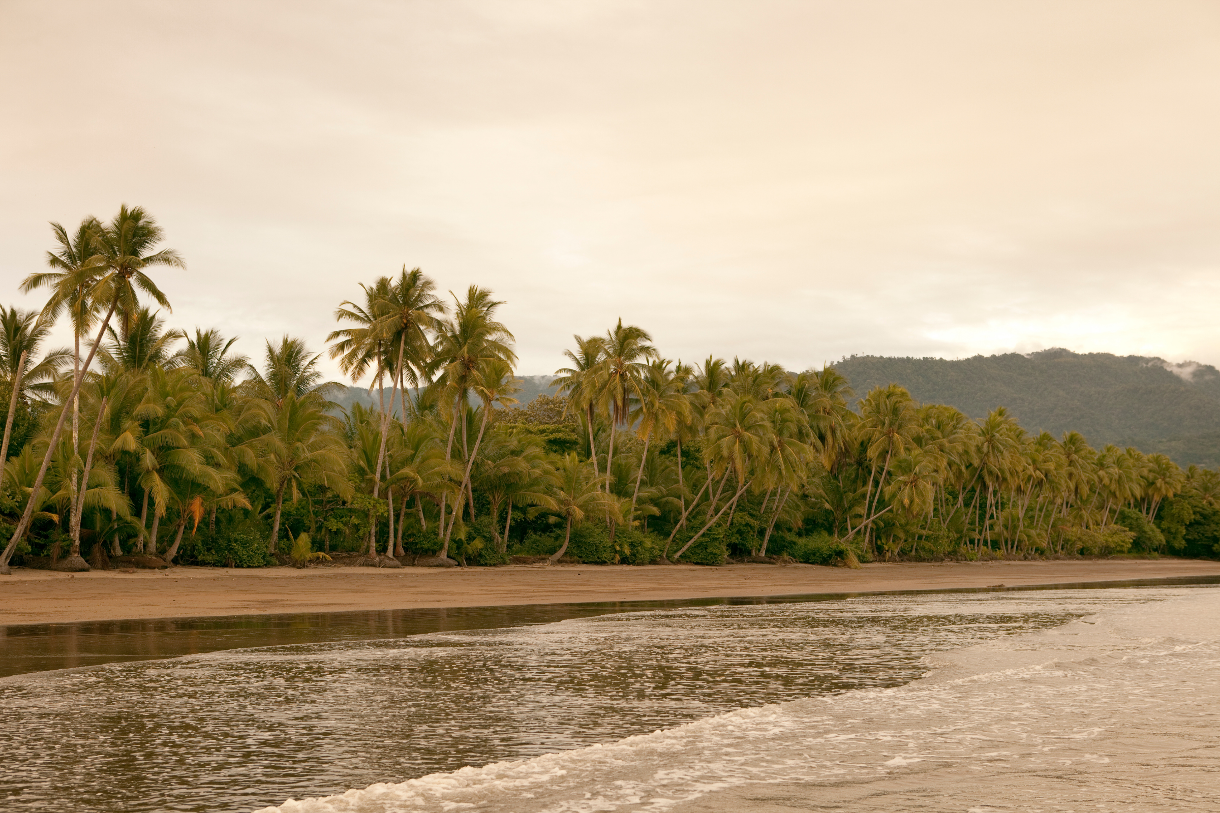 uvita 04.webp